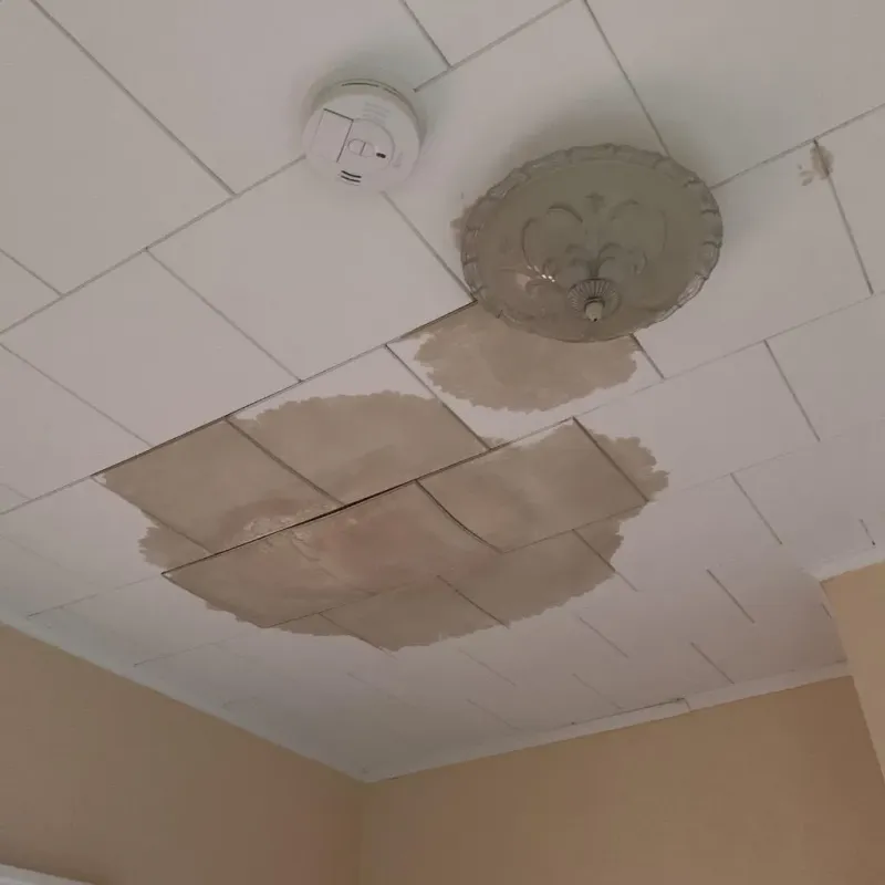 Ceiling Water Damage Repair in Platteville, WI