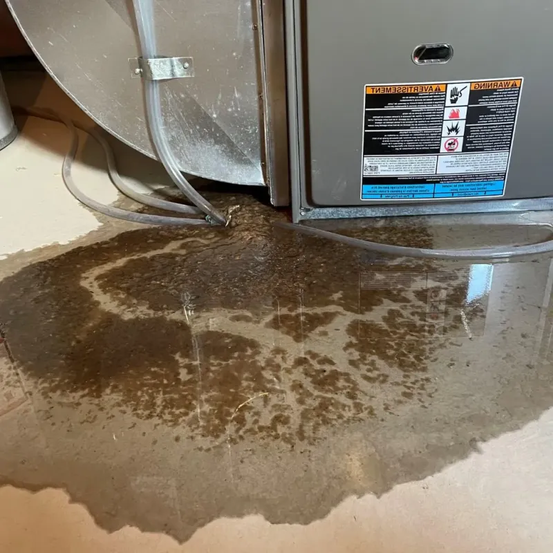 Pipe Burst and Leak Restoration in Platteville, WI